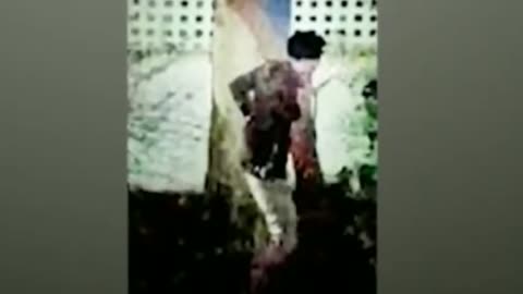 चोरट्यांचा व्हिडिओ कैद