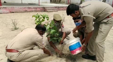 लखीमपुर खीरी थाना मैगलगंज में पर्यावरण दिवस पर किया गया वृक्षारोपण