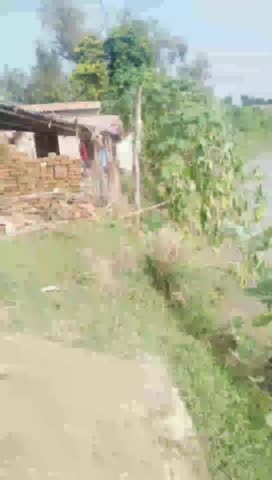  इंडो-नेपाल निघासन :- तराई में लगातार हो रही बारिश से मोहना-करणी के बाद इलाके की जोरहा नदी ने भी उत्पात मचाना किया शुरू।