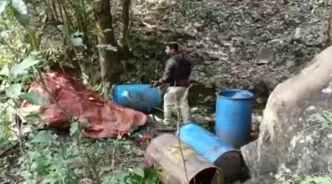 गावां में अवैध शराब चूलाई के खिलाफ वन विभाग की बड़ी कार्रवाई, पांच भट्टी ध्वस्त, 2 लोग हुए गिरफ्तार 