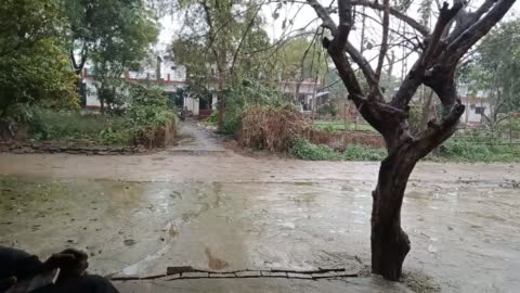 जिले के भानपुर थाना क्षेत्र में 2 दिनों से रिमझिम बारिश होने से मौसम और भी ठंडा हो गया है जिससे लोगों का घर से निकलना दूभर हो गया है