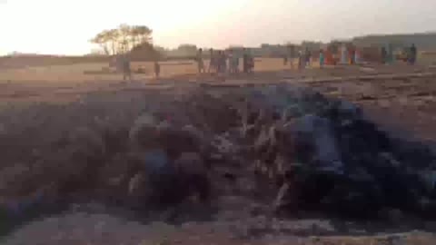 सर्राबोझी गांव में लगी भीषण आग में 15 बीघा गेंहू जलकर हुआ राख