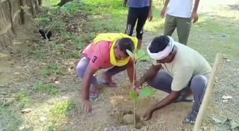 सुलतानपुर:पेड़-पौधे मानव जीवन के लिए महत्वपूर्ण-मो.सम्मू