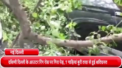 दक्षिणी दिल्ली के आउटर रिंग रोड पर गिरा पेड़, 7 गाड़ियां बुरी तरह से हुई क्षतिग्रस्त