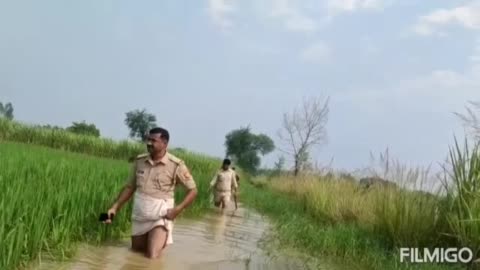 गोंडा:कोतवाली इटियाथोक क्षेत्र अंतर्गत पंडरी पारासराय पंचायत के तारीपरसोहिया तालाब में मिला 1अज्ञात शव पुलिस ने बाहर निकाल कर शुरू किया जांच पड़ताल 