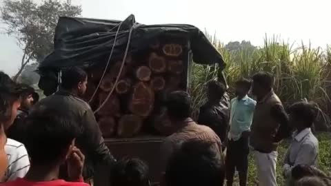 लखीमपुर खीरी: लकड़ियों से भरा हुआ ट्रक पुलिस ने पकड़ा